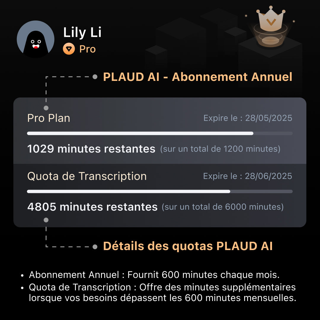 Abonnement annuel Pro & Quota de Transcription PLAUD AI