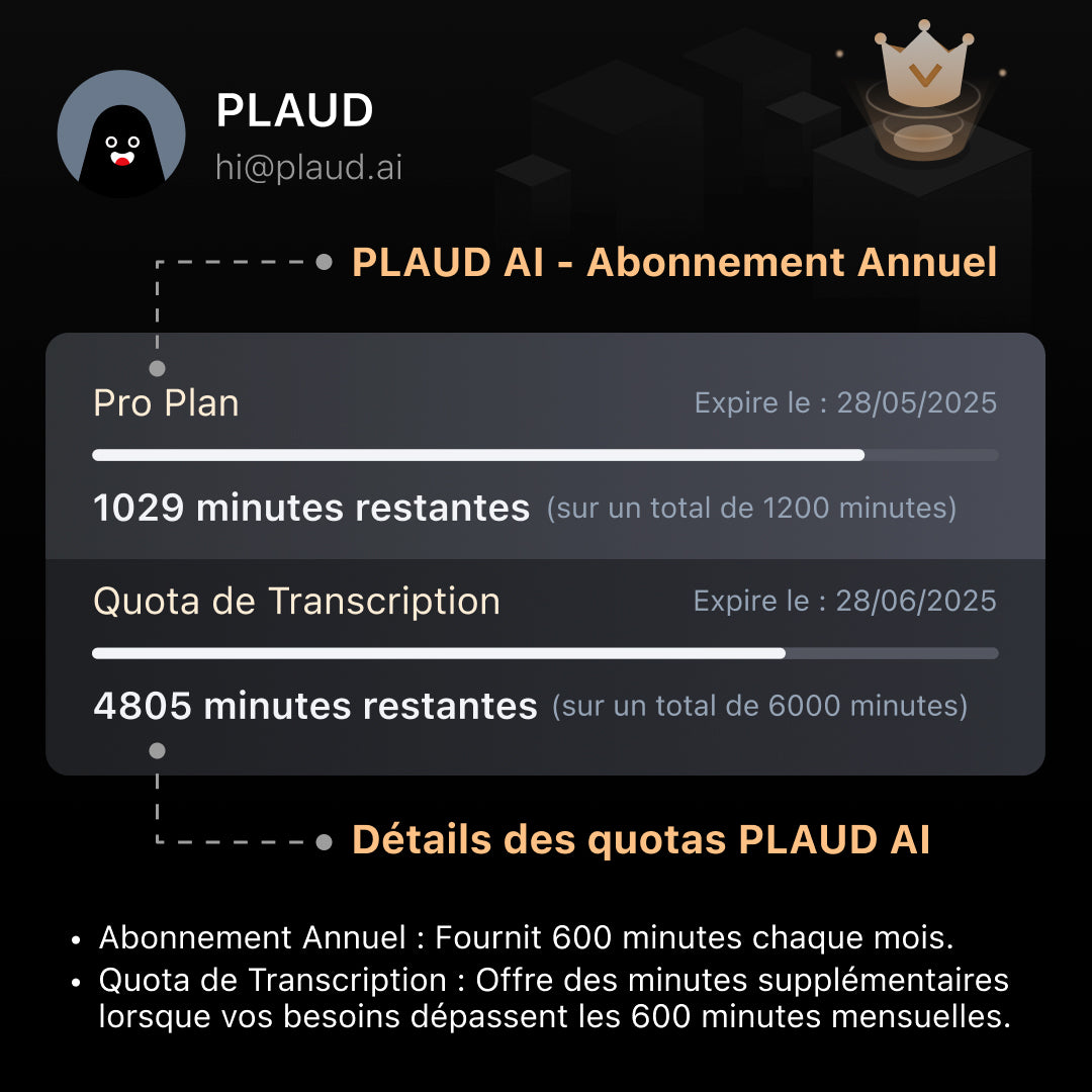 Abonnement annuel Pro & Quota de Transcription PLAUD AI